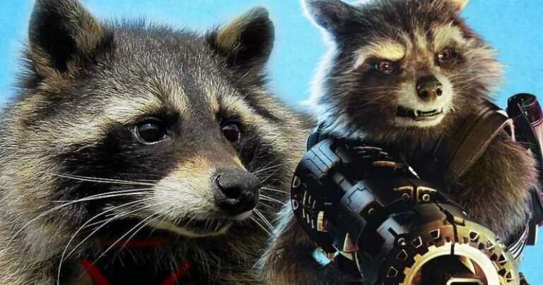 Guardians of the Galaxy Vol. 3: Is Rocket’s Time Over?