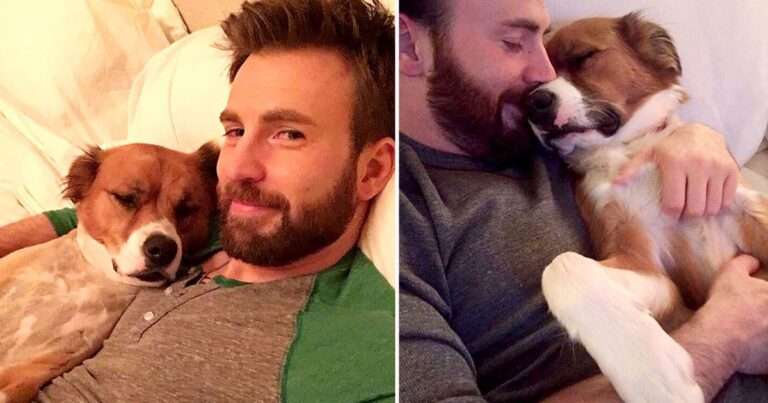 Chris Evans Tried His hands on Giving A Haircut, Which Went so Wrong, So Fast