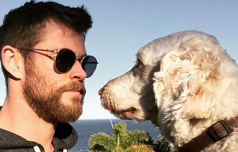Chris Hemsworth Plans for Acting Break After Thor 4