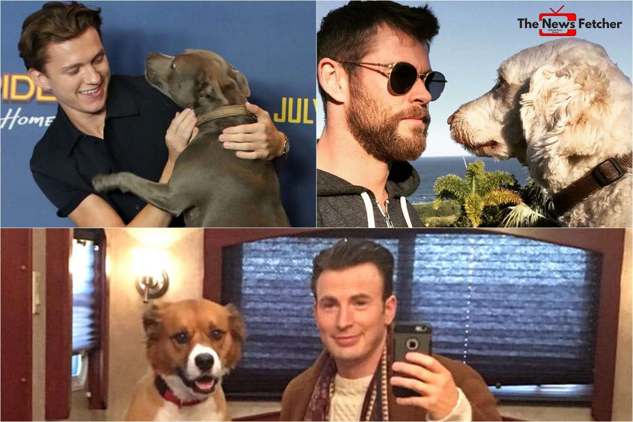 Marvel-Actors-and-their-pet-dogs.jpeg