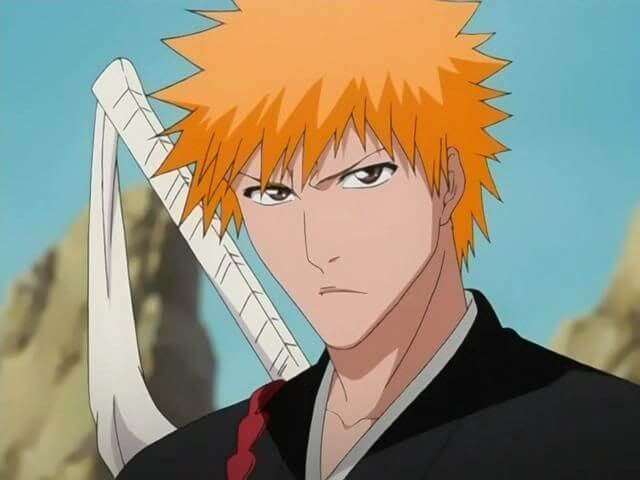 Bleach (anime): Where do soul reapers go when they die?