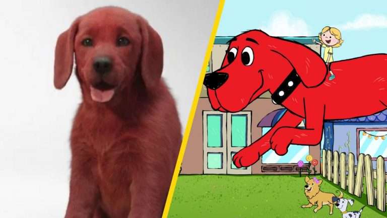 What Is The Hype About Clifford the Big Red Dog?