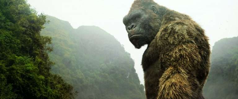 Godzilla vs Kong: Here’s why Kong left Skull Island