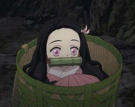 Demon Slayer: Why do Fans think Nezuko is an adorable demon!