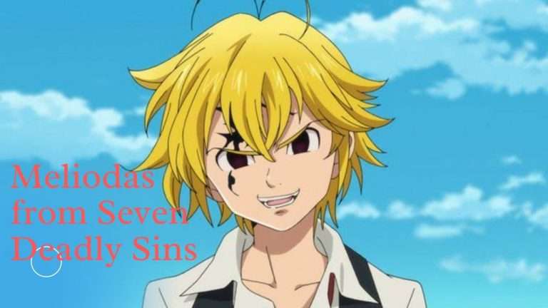 Seven Deadly Sins: Meliodas Character Details