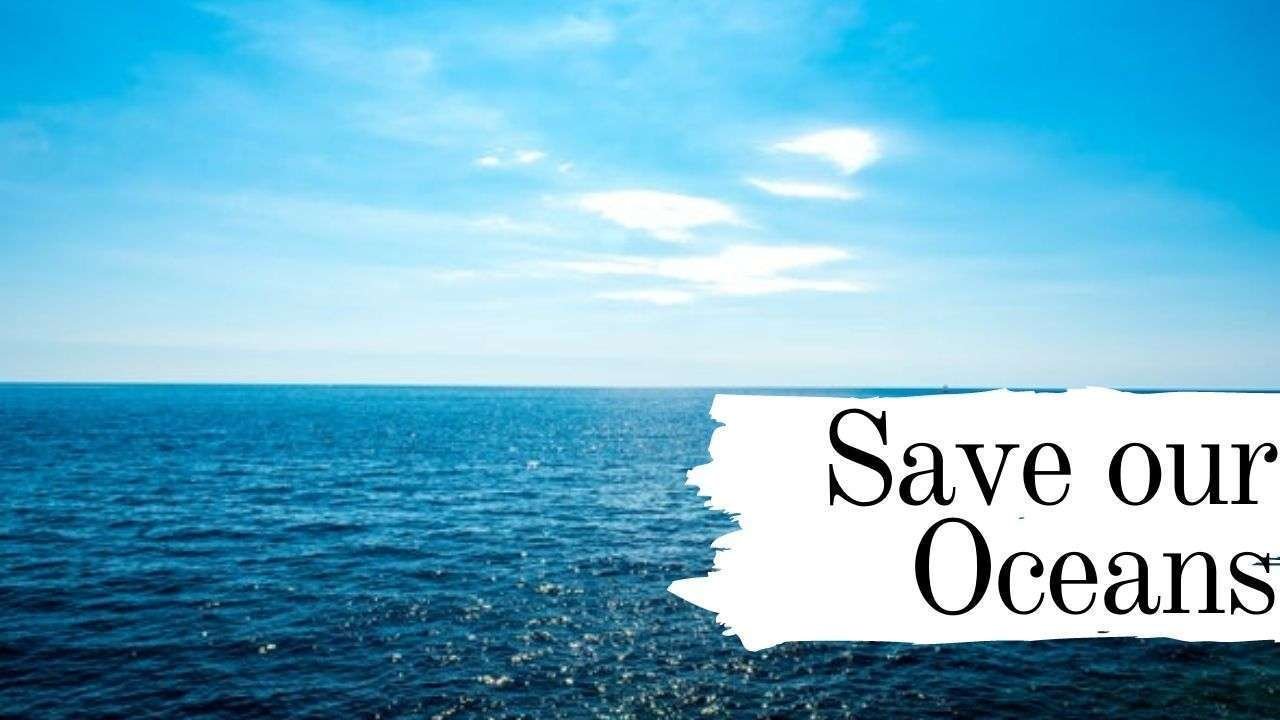 world oceans day