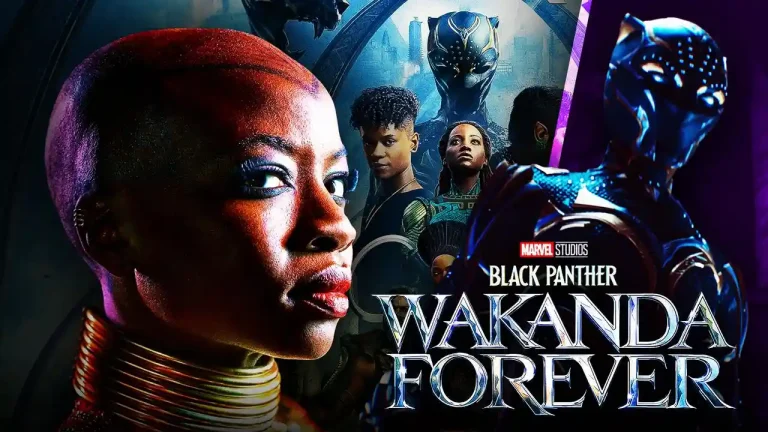 What Genre Would Be Black Panther 2?
